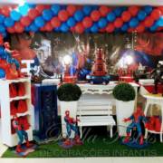 Decoração Festa Infantil Homem Aranha Provençal